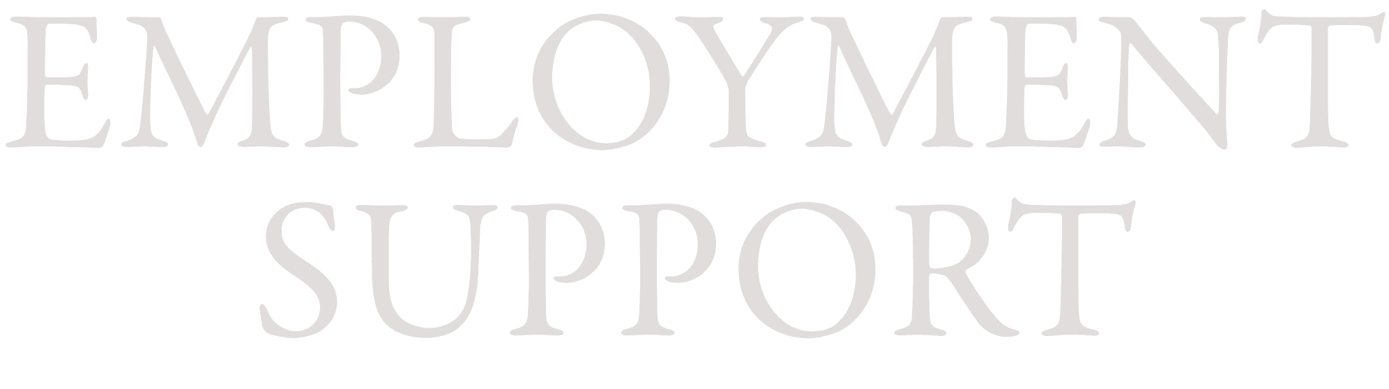 employment support