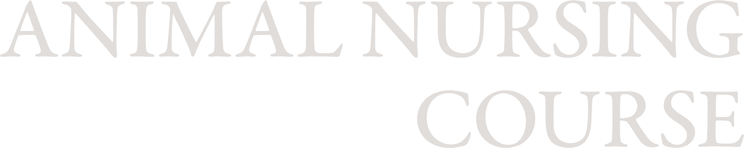 animal nursing course