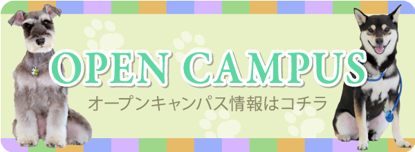 オープンキャンパス情報はこちら