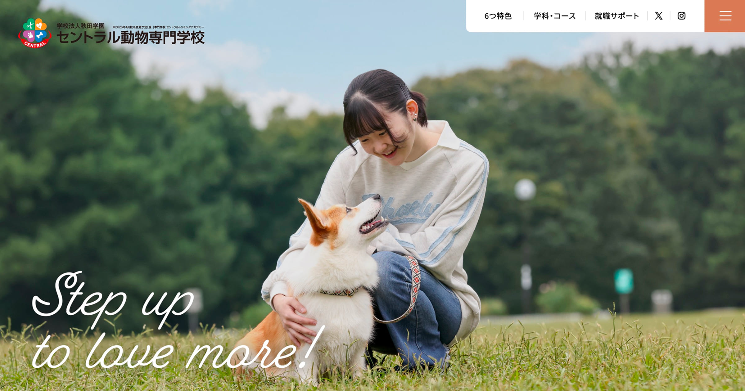 トリマー トレーニング 動物看護 アカデミー通信講座 DVDセット 犬 参考書 トリマー トレーニング 動物看護 アカデミー通信講座 DVDセット